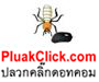 บริษัทกำจัดปลวกจตุจักร